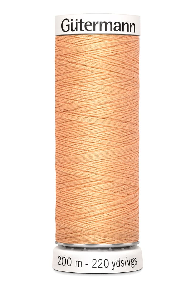 Gütermann Allesnaaigaren 200m kleur 979 — productfoto van kleur 979